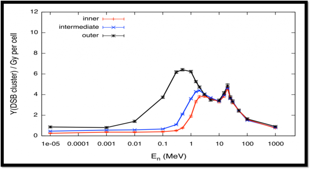Graph of  Double Stranded Breaks (DSB) per Gray of absorbed dose per cell over a range of incident neutron energies